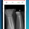 Apple iPhone 11 Pro Max Screenshot 3.png