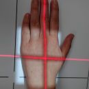 Mittelhand_ap_2.jpg